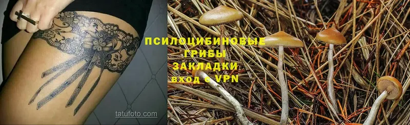 Псилоцибиновые грибы Magic Shrooms  Болхов 